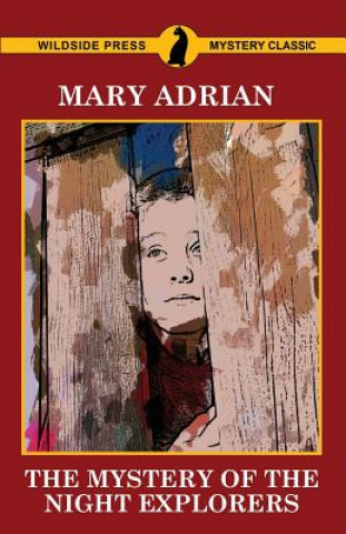 Könyv Mystery of the Night Explorers Mary Adrian