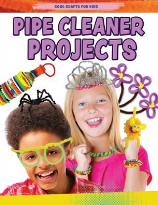 Kniha Pipe Cleaner Projects Jane Yates