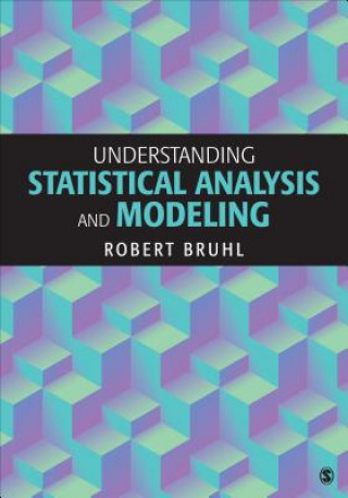 Kniha Understanding Statistical Analysis and Modeling Robert H. Bruhl
