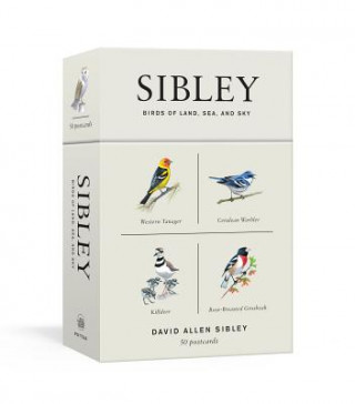Kniha Sibley Birds of Land, Sea, and Sky David Allen Sibley