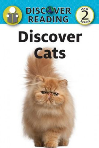 Carte DISCOVER CATS Katrina Streza