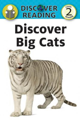 Kniha DISCOVER BIG CATS Katrina Streza