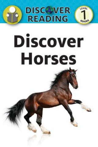 Kniha DISCOVER HORSES Katrnia Streza