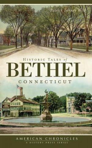 Kniha HISTORIC TALES OF BETHEL CONNE Patrick Tierney Wild