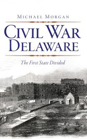 Kniha CIVIL WAR DELAWARE Michael Morgan