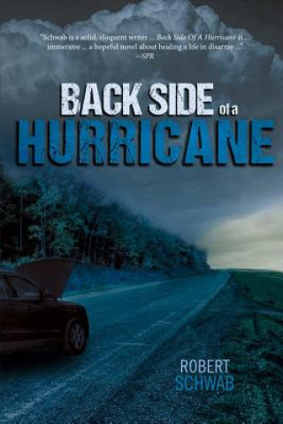 Knjiga Back Side of a Hurricane: Volume 1 Robert Schwab