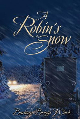 Kniha Robin's Snow Barbara Briggs Ward