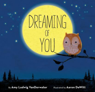 Book Dreaming of You Amy Vanderwater