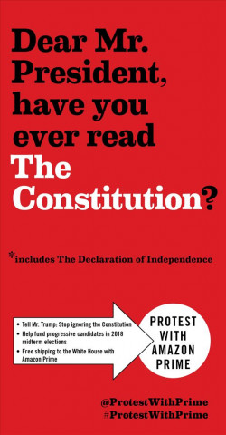 Książka CONSTITUTION OF THE US & THE D 