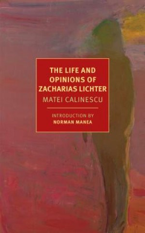 Könyv Life And Opinions Of Zacharias Lichter Matei Calinescu