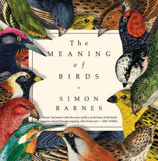 Könyv The Meaning of Birds Simon Barnes