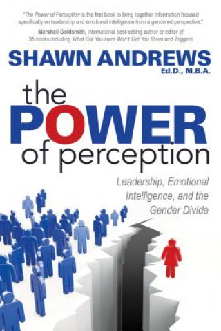 Kniha Power of Perception Shawn Andrews