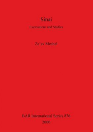 Buch Sinai: Excavations and Studies Ze'ev Meshel