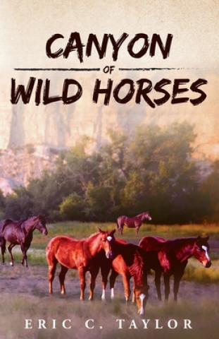 Carte Canyon of Wild Horses Eric C Taylor