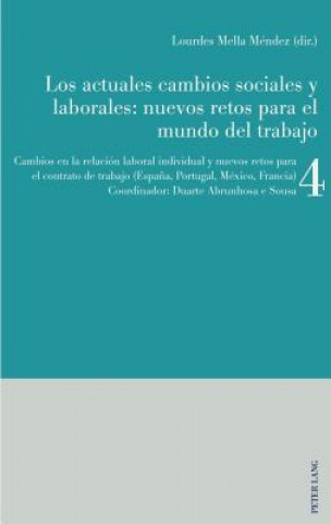 Kniha Los actuales cambios sociales y laborales Lourdes Mella Méndez
