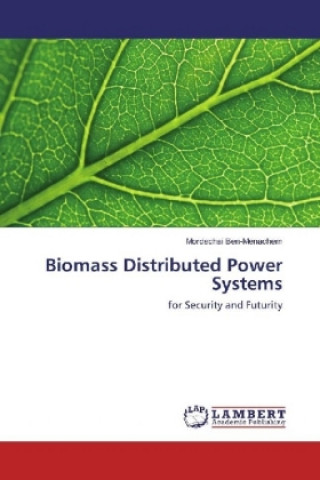 Könyv Biomass Distributed Power Systems Mordechai Ben-Menachem