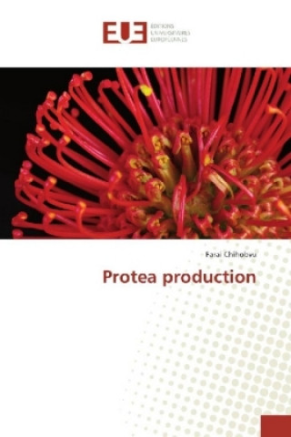 Könyv Protea production Farai Chihobvu