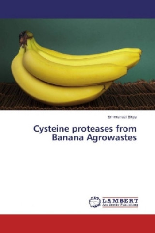 Könyv Cysteine proteases from Banana Agrowastes Emmanuel Ekpa