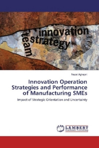Kniha Innovation Operation Strategies and Performance of Manufacturing SMEs Nezal Aghajari
