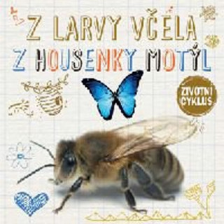 Book Z larvy včela Z housenky motýl Grace Jones