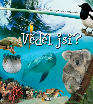 Printed items Věděl jsi? neuvedený autor