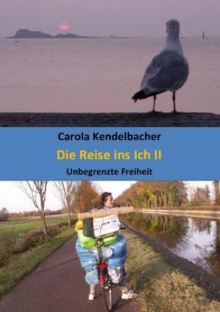 Książka Die Reise ins Ich II Carola Kendelbacher