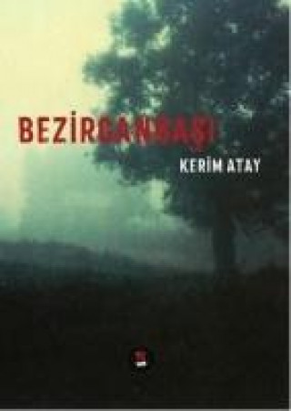 Knjiga Bezirganbasi Kerim Atay