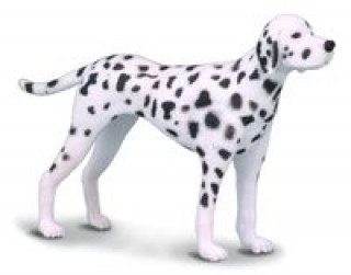 Carte Pies dalmatyńczyk M 