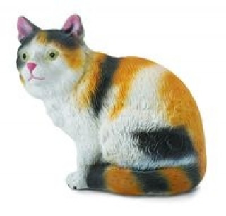 Carte Kot domowy siedzący trzy-kolorowy S 
