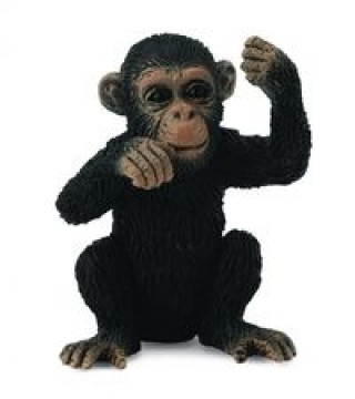 Carte Szympans młody myślący S 