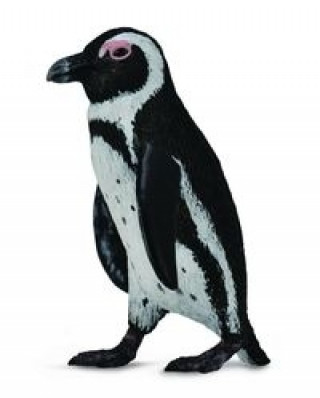 Játék Pingwin przylądkowy S 