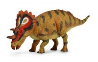 Książka Dinozaur Regaliceratops L 