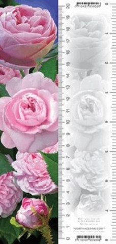Papírszerek Zakładka 3D Róże 