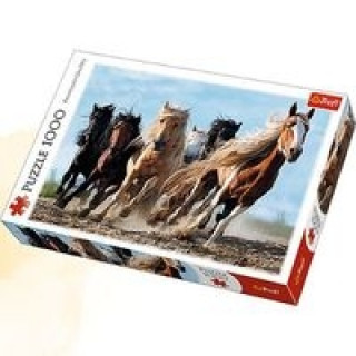 Hra/Hračka Puzzle 1000 Galopujące konie 