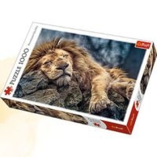 Game/Toy Puzzle Spící lev 