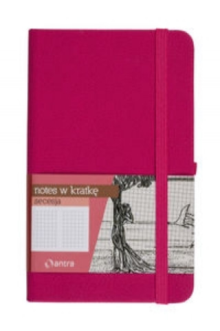 Könyv Notes A6 z gumką Secesja kratka różowy 