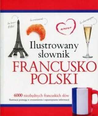 Könyv Ilustrowany słownik francusko-polski Woźniak Tadeusz