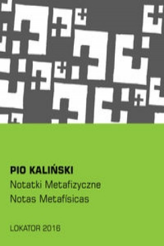 Boek Notatki metafizyczne Kaliński Pio