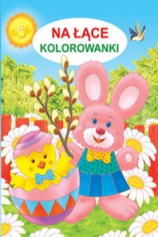 Kniha Na łące Kolorowanki Żukowski Jarosław