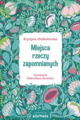 Könyv Miejsca rzeczy zapomnianych Chołoniewska Krystyna
