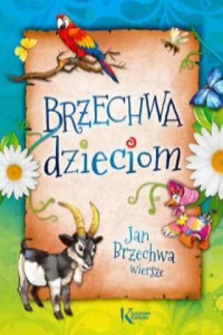 Book Brzechwa dzieciom Brzechwa Jan