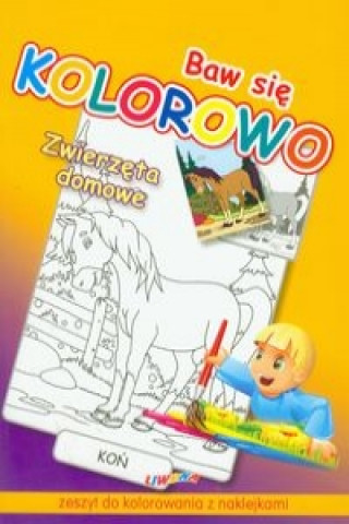 Book Baw się kolorowo Zwierzęta domowe Koń 
