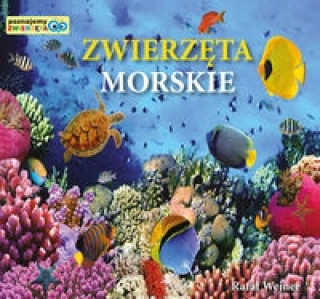 Книга Zwierzęta morskie Poznajemy zwierzęta Wejner Rafał