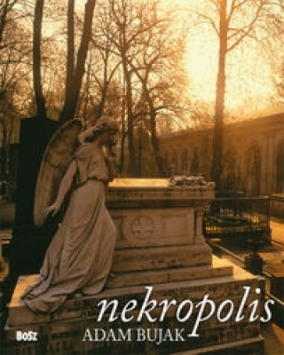 Kniha Nekropolis Bujak Adam