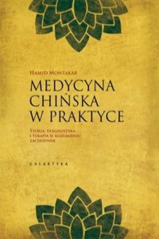 Book Medycyna chińska w praktyce Hamid Montakab