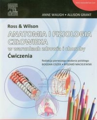 Knjiga Ross & Wilson Anatomia i fizjologia człowieka w warunkach zdrowia i choroby ćwiczenia Waugh Anne