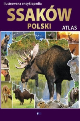 Könyv Ilustrowana encyklopedia ssaków Polski 
