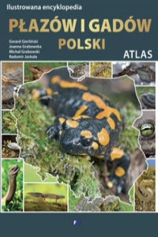 Книга Ilustrowana encyklopedia płazów i gadów Polski Gierliński Gerard