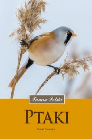 Kniha Ptaki Fauna Polski Zawadzka Dorota