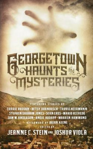 Buch Georgetown Haunts and Mysteries Jeanne C Stein